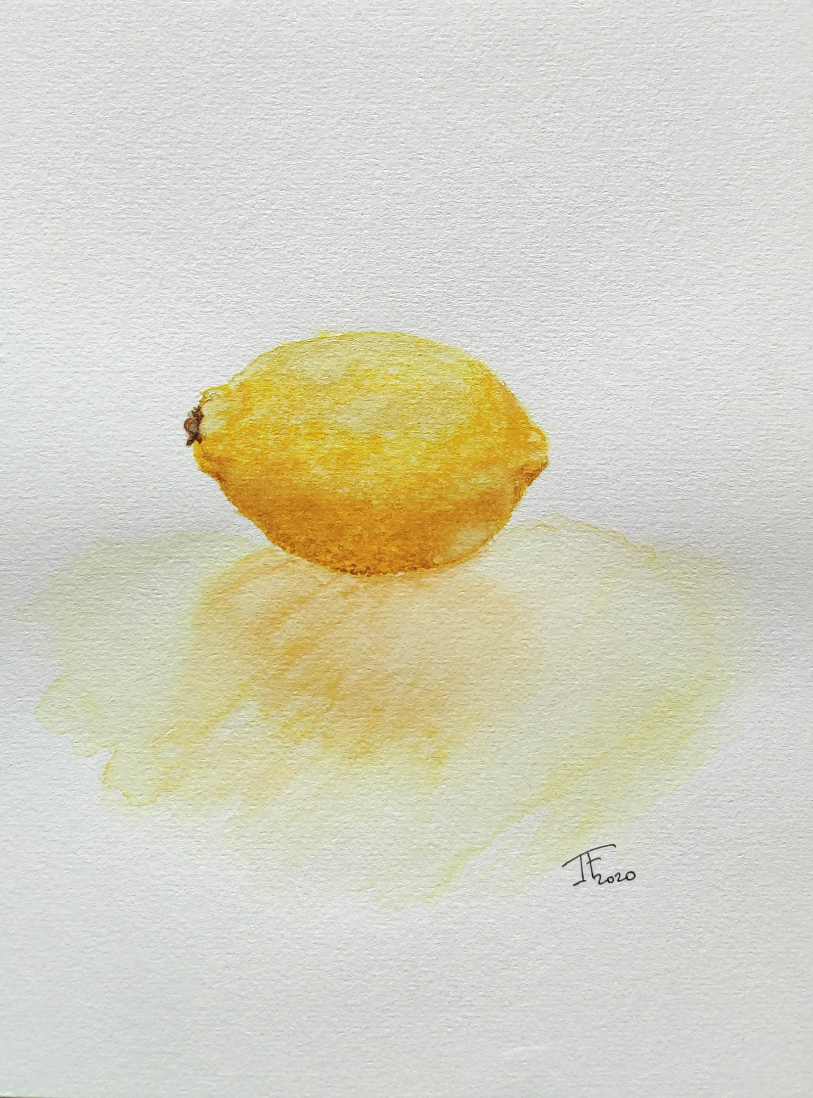 Etude d’un citron à l’aquarelle